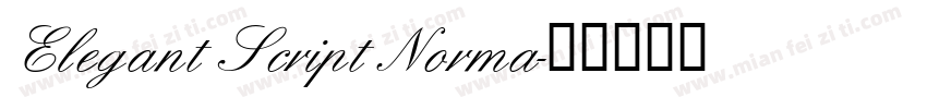 Elegant Script Norma字体转换